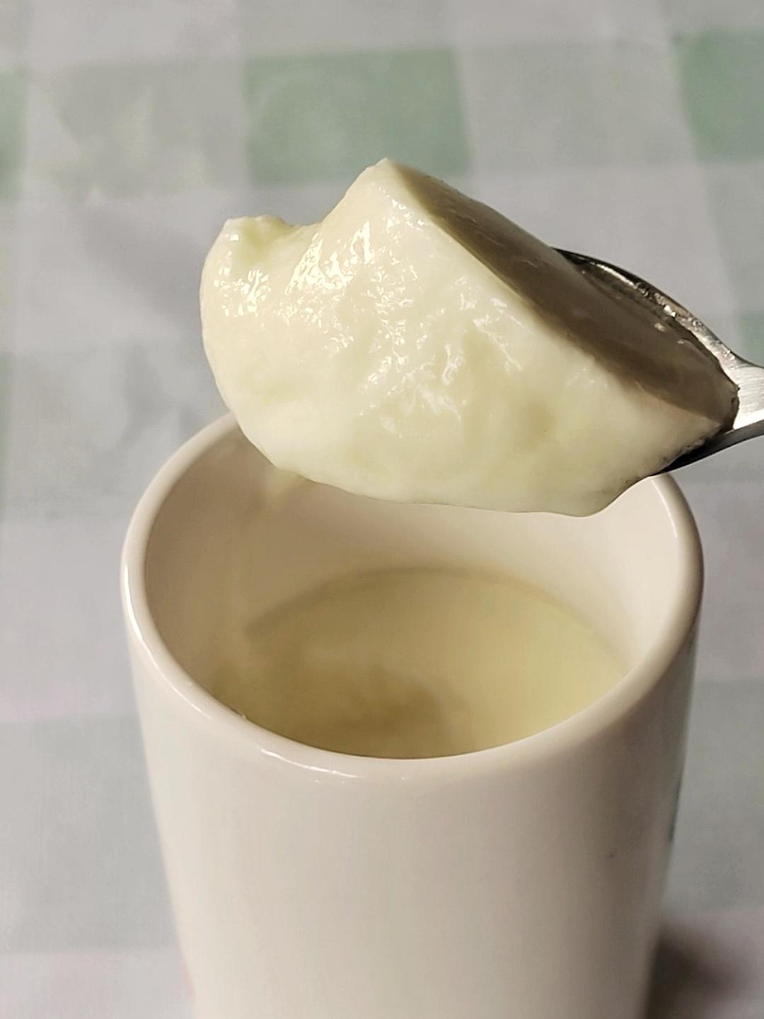 自制无糖酸奶（奶粉版）