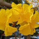 手机用户2892_i25y