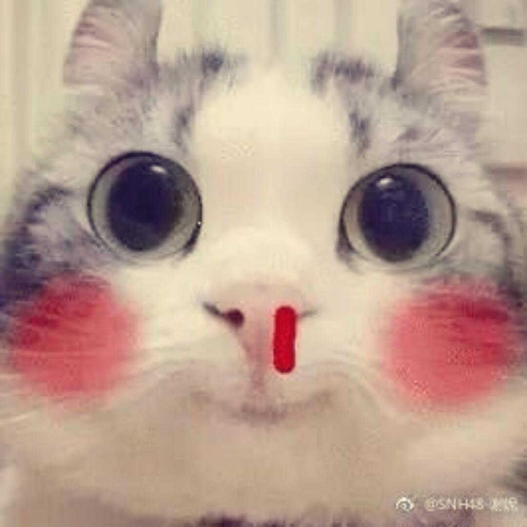 蓝白咖啡