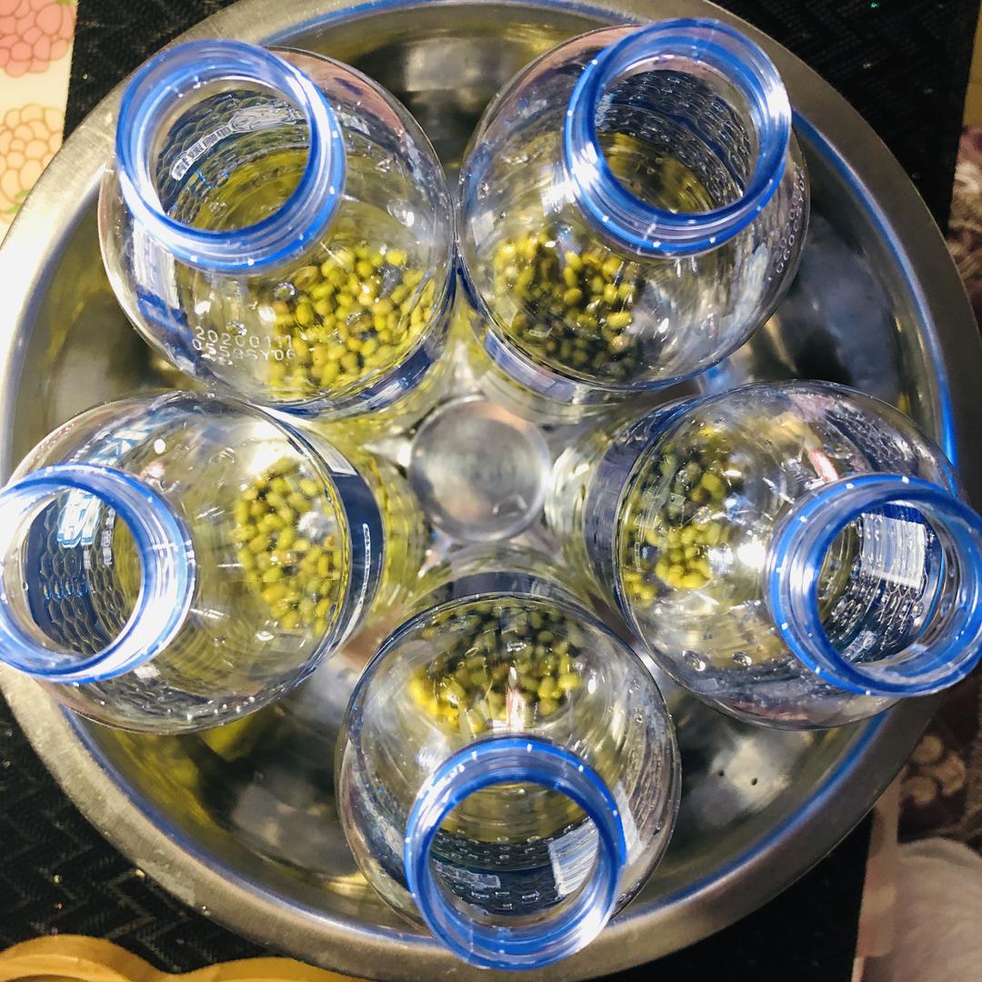 自发绿豆芽~宅客解锁新技能