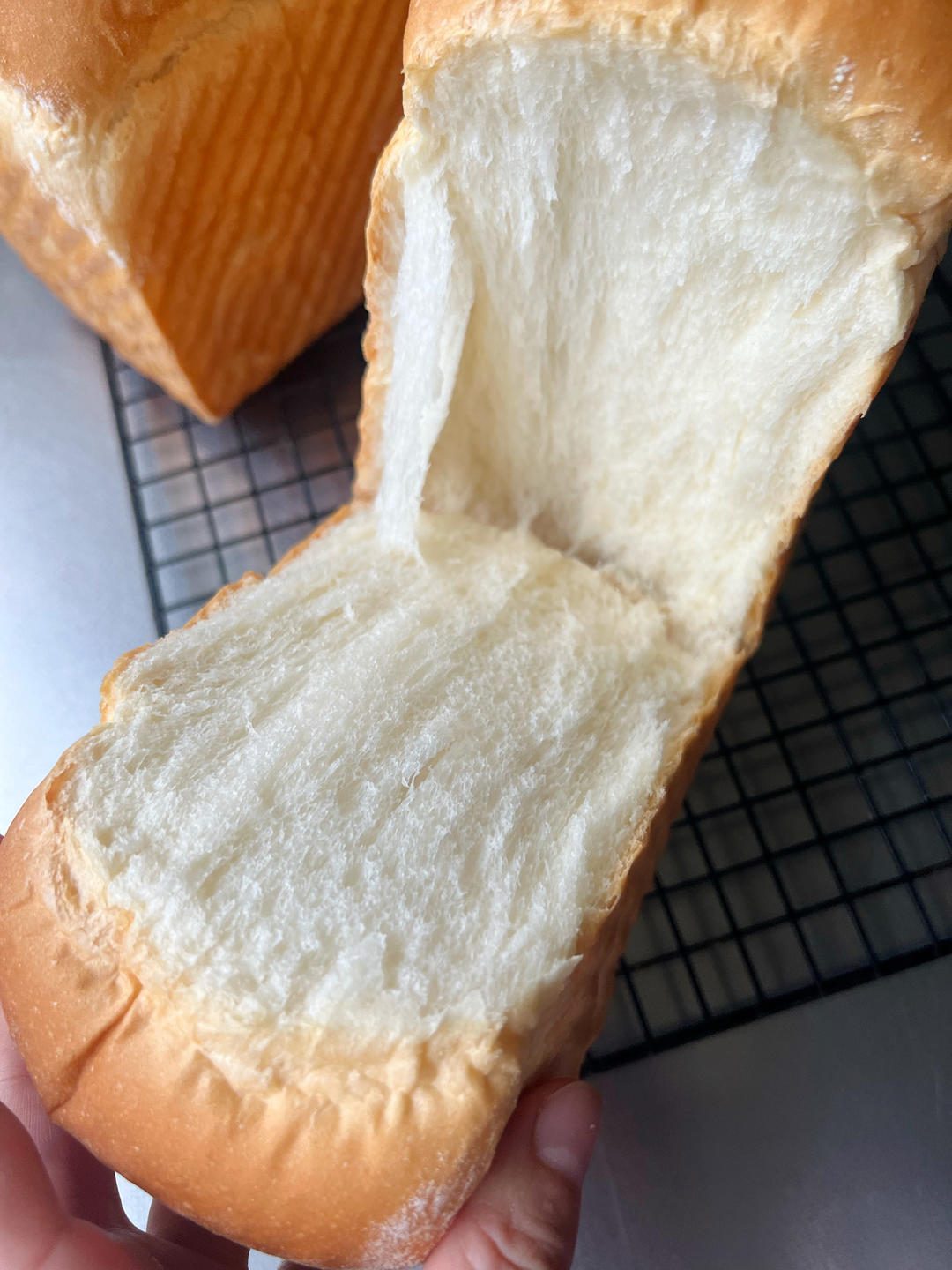 夺命软吐司(๑´ڡ`๑)超软拉丝极速方便的一次发酵吐司