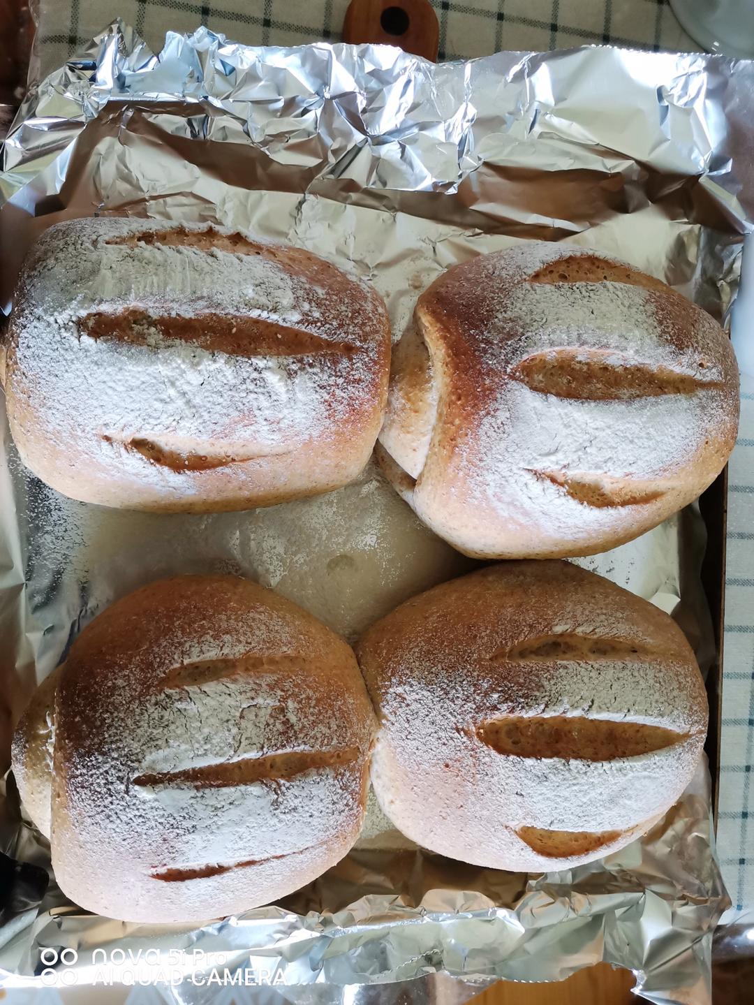 不加一滴水！特浓牛奶哈斯面包~