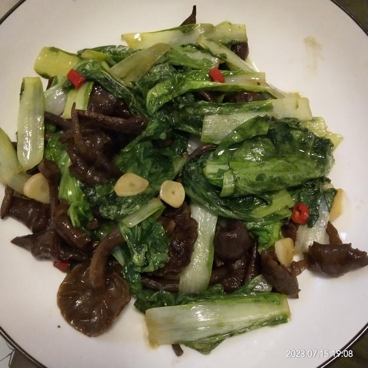 白菜炒滑子菇