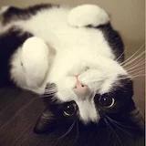 我说我只做不吃