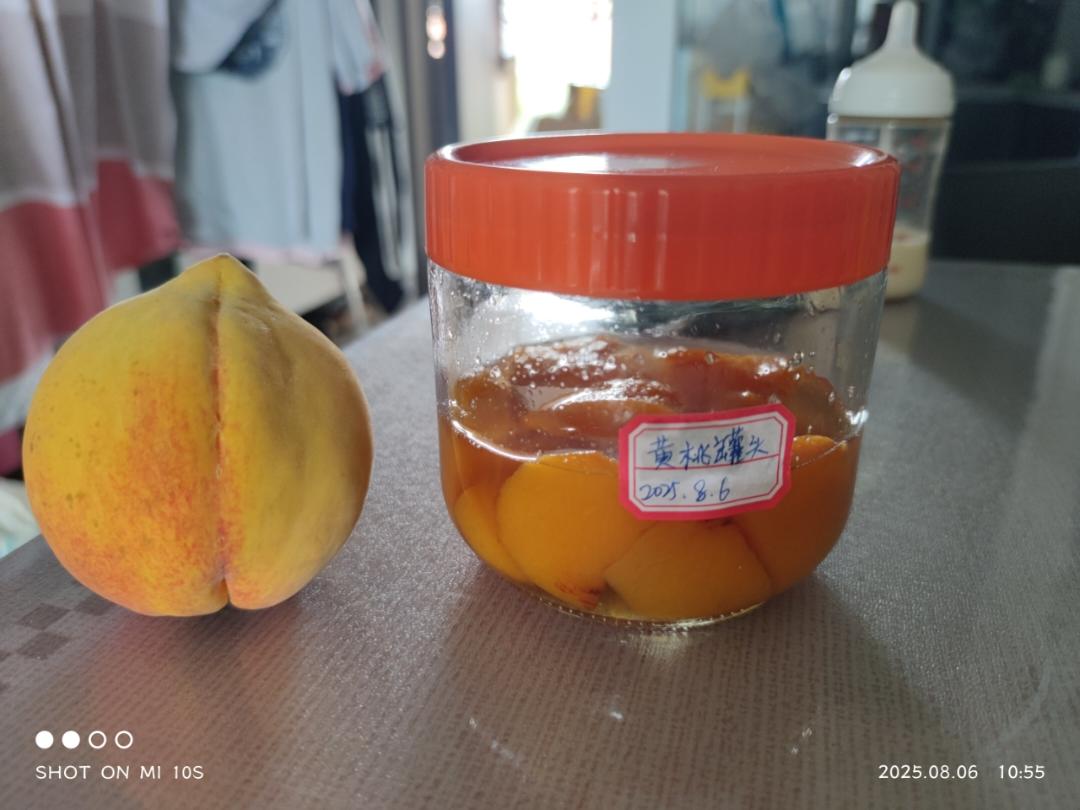 一滴水不加的黄桃罐头