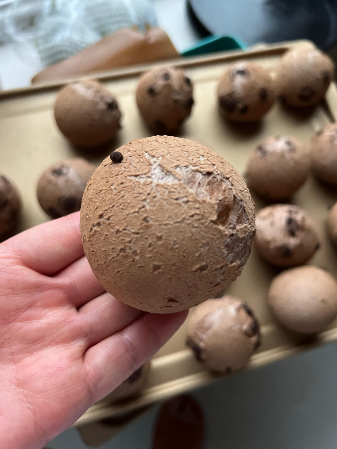 系列二 可可蜜豆恐龙蛋·麻薯面包·麻薯包 自己做了1000➕的私人配方