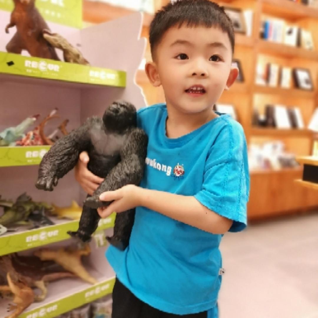 小怪兽之王