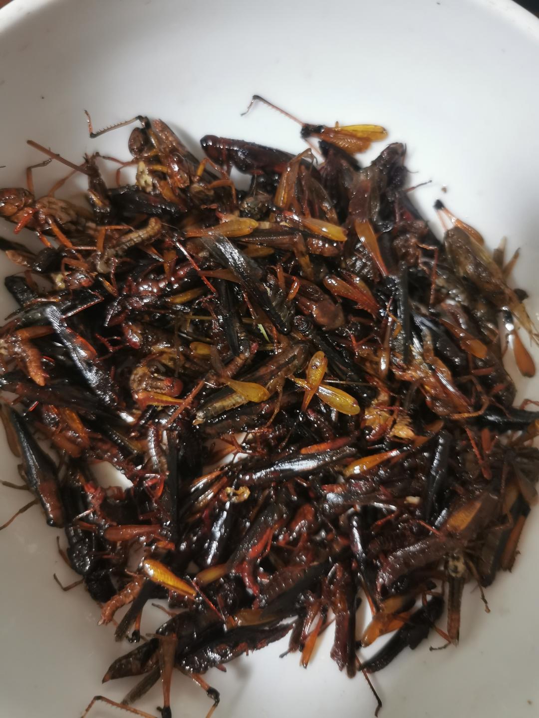 炸蚂蚱