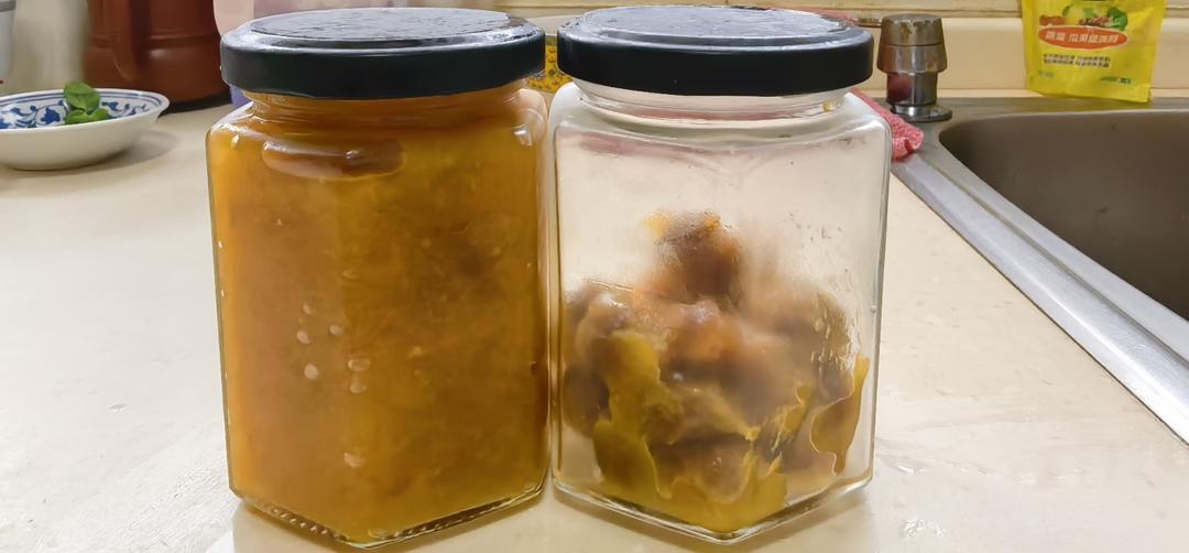 5斤龙眼黄梅不完全食谱