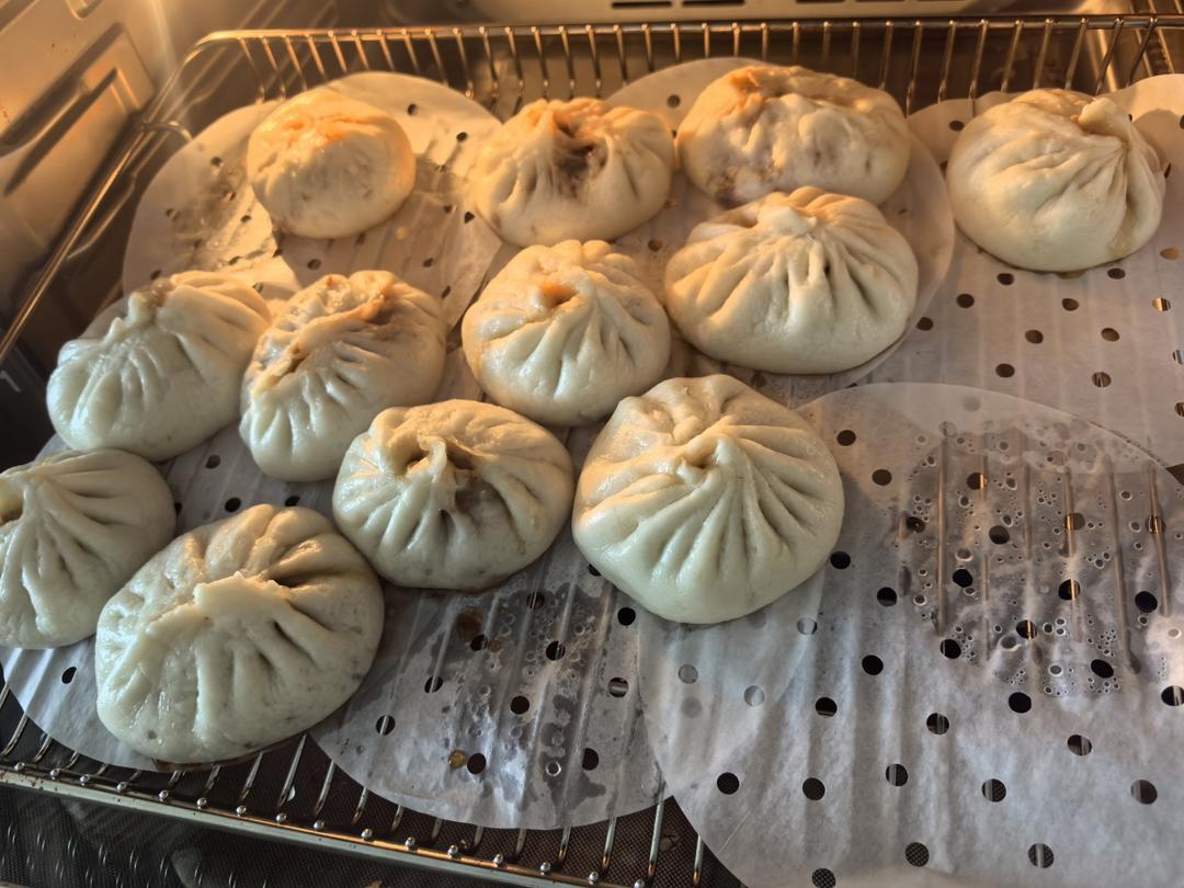 好吃多汁的肉包子肉馒头【步骤超详细】