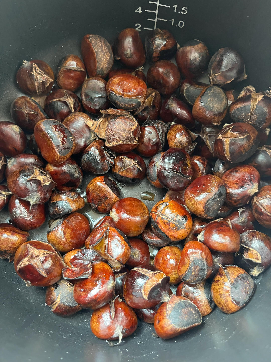 栗子、板栗（电饭锅零失误版）
