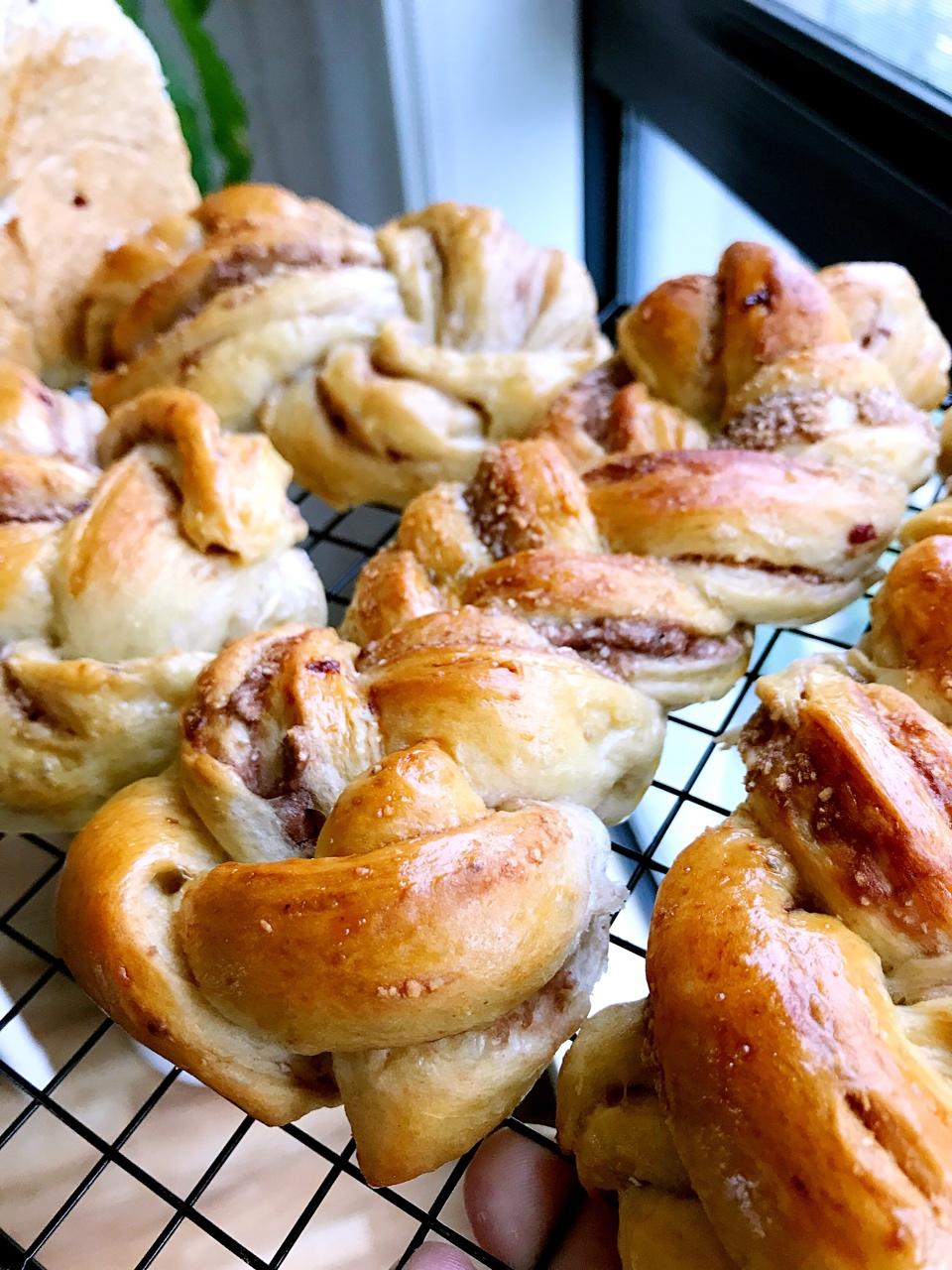 酸奶辫子面包（一次发酵）