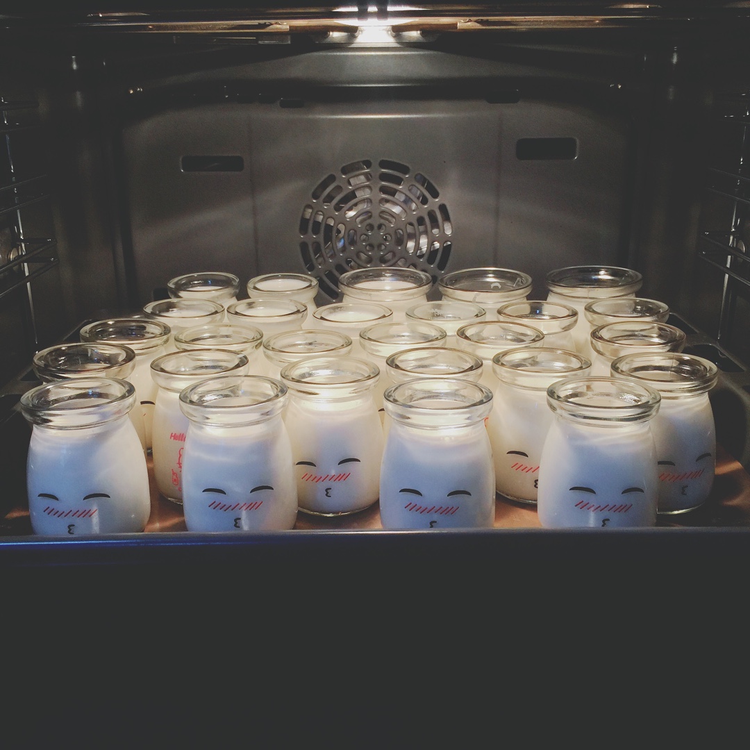 无需酸奶机的自制酸奶