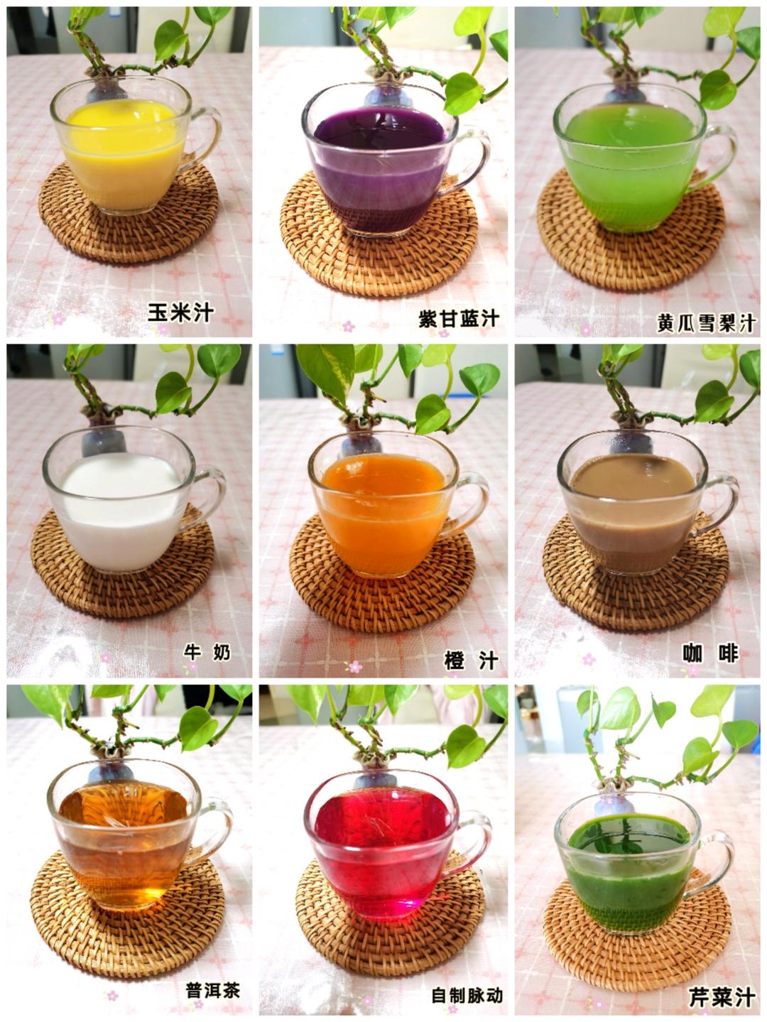 果蔬汁