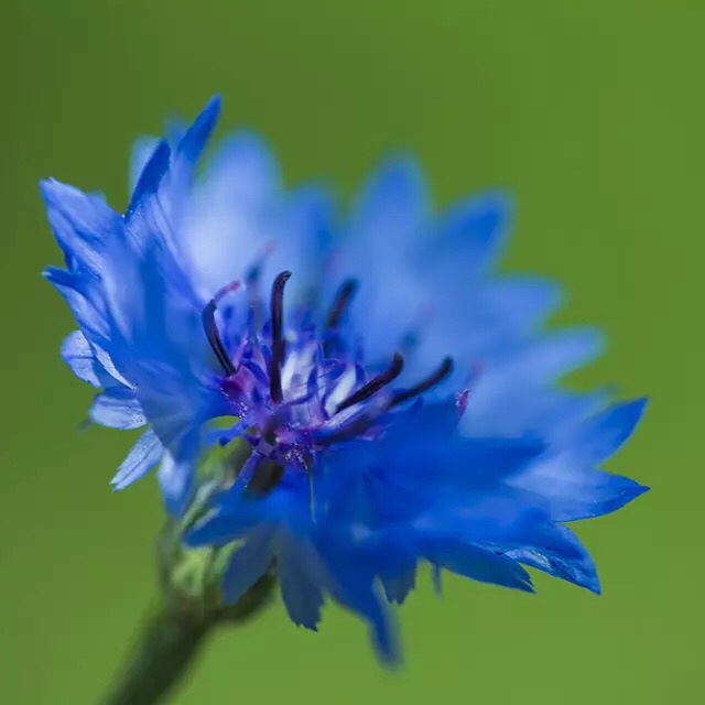 手机用户7907_hd4s