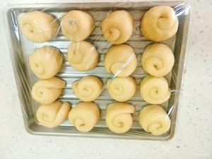 蜂蜜小面包🍞(家庭小试→小烤箱版)的做法 步骤18