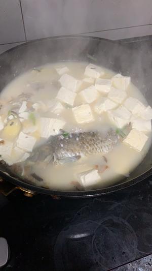 奶白奶白鲫鱼豆腐汤的做法 步骤6