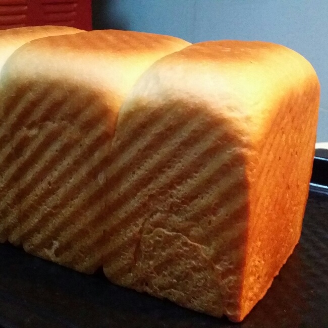 金砖奶香土司直接法