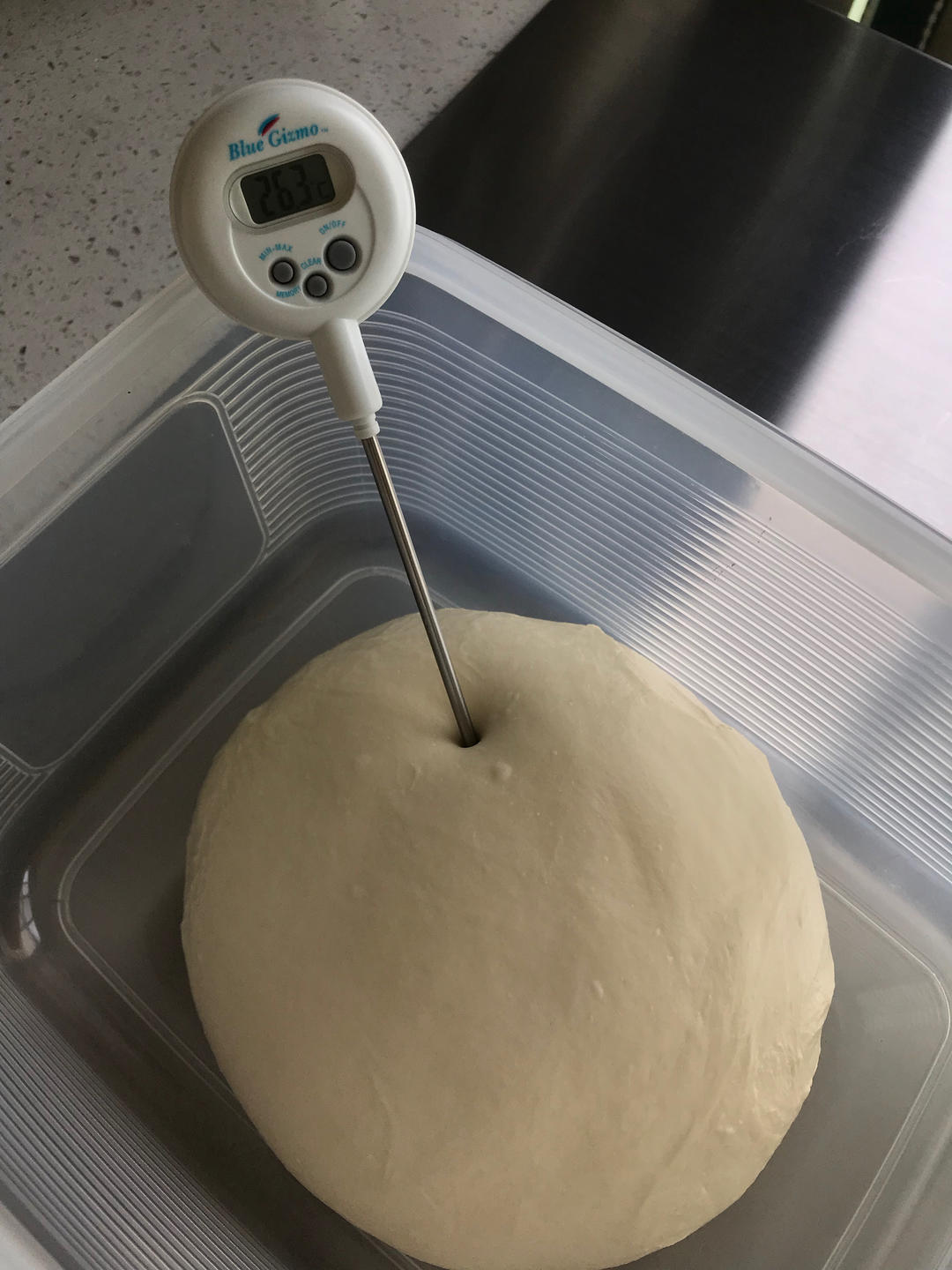 庞多米白吐司