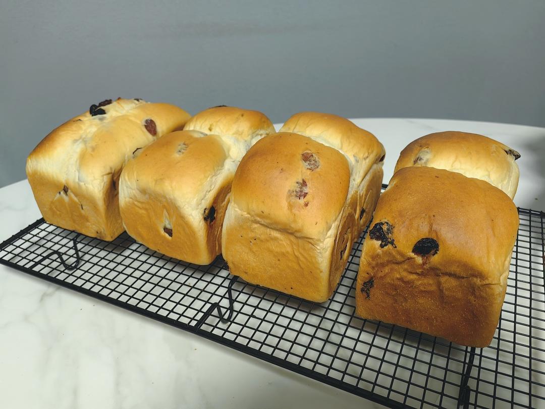波兰种葡萄干吐司🍞