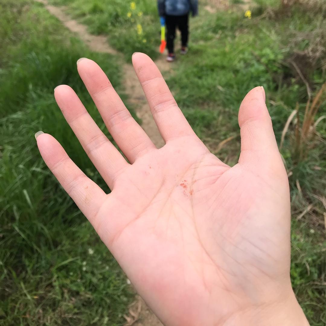 大大大大大裤子