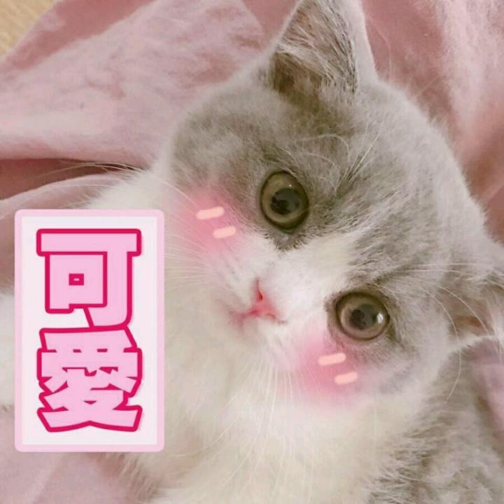 不想吃土的社畜