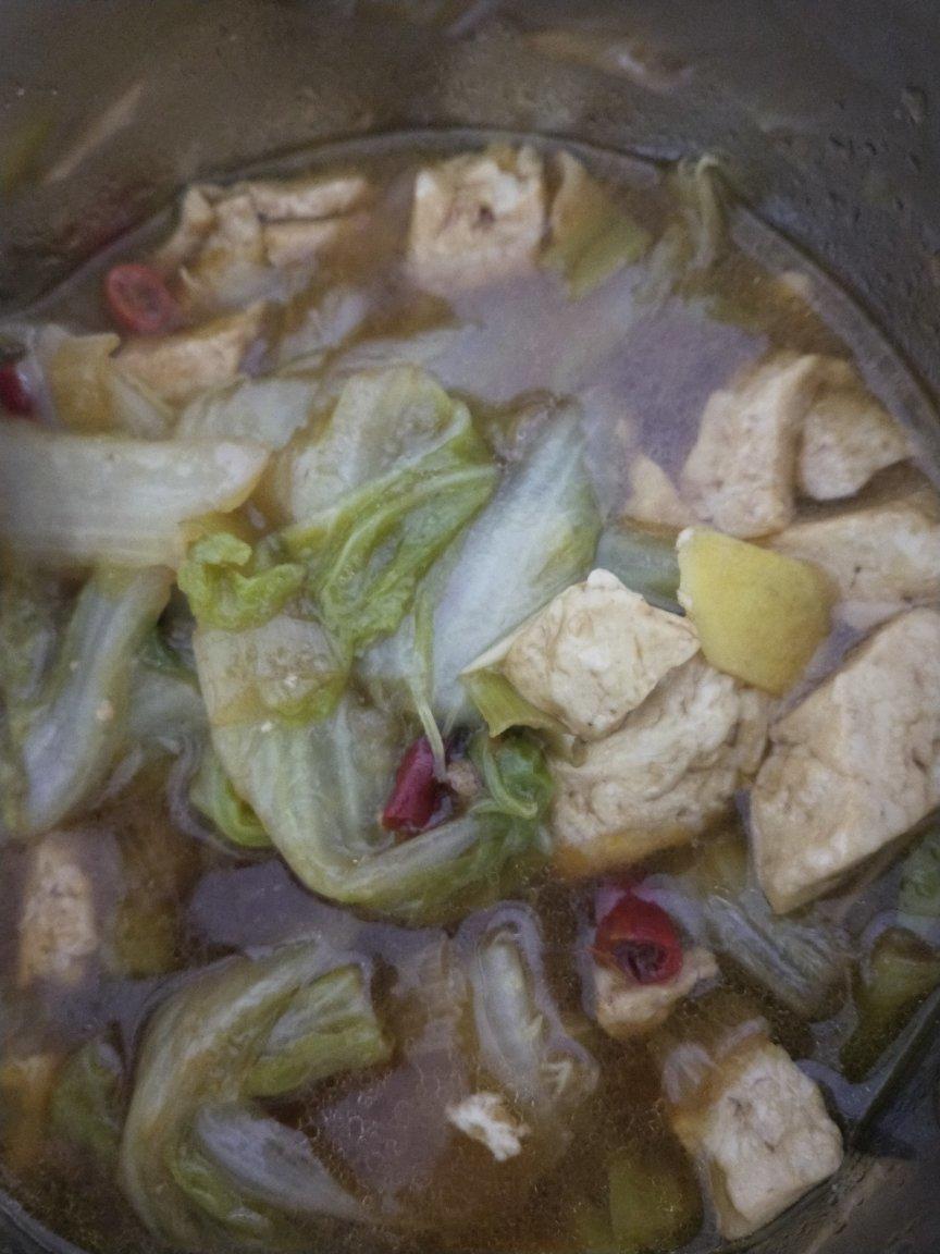 ❗冬天吃点热乎的❗巨下饭的白菜炖豆腐❗