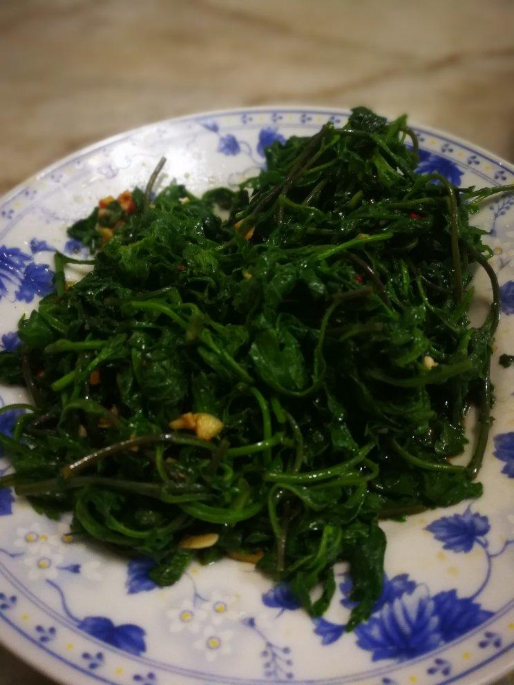 凉拌野菊
