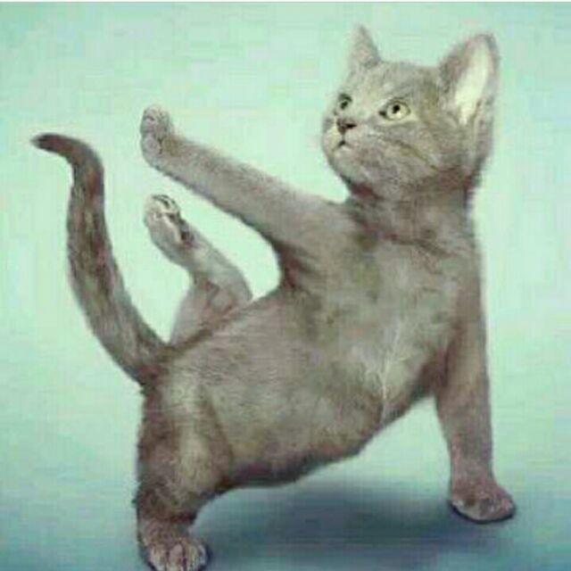 yeah好吃的不得了