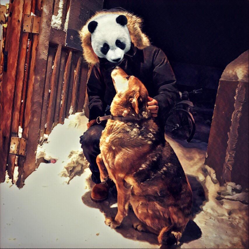 手机用户3675_l38f