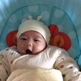 淡淡的紫深深的绿