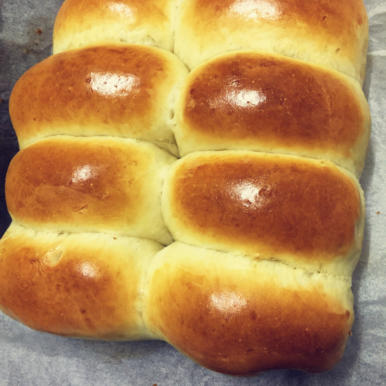 基础面包制作 Basic Bread (Loaf&Roll)