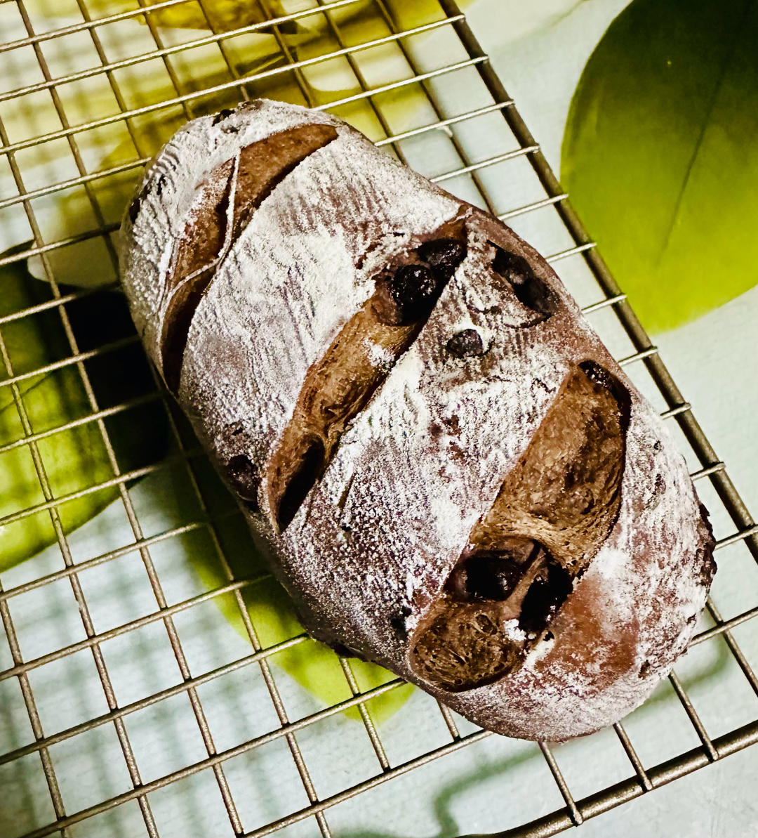 可可软欧包