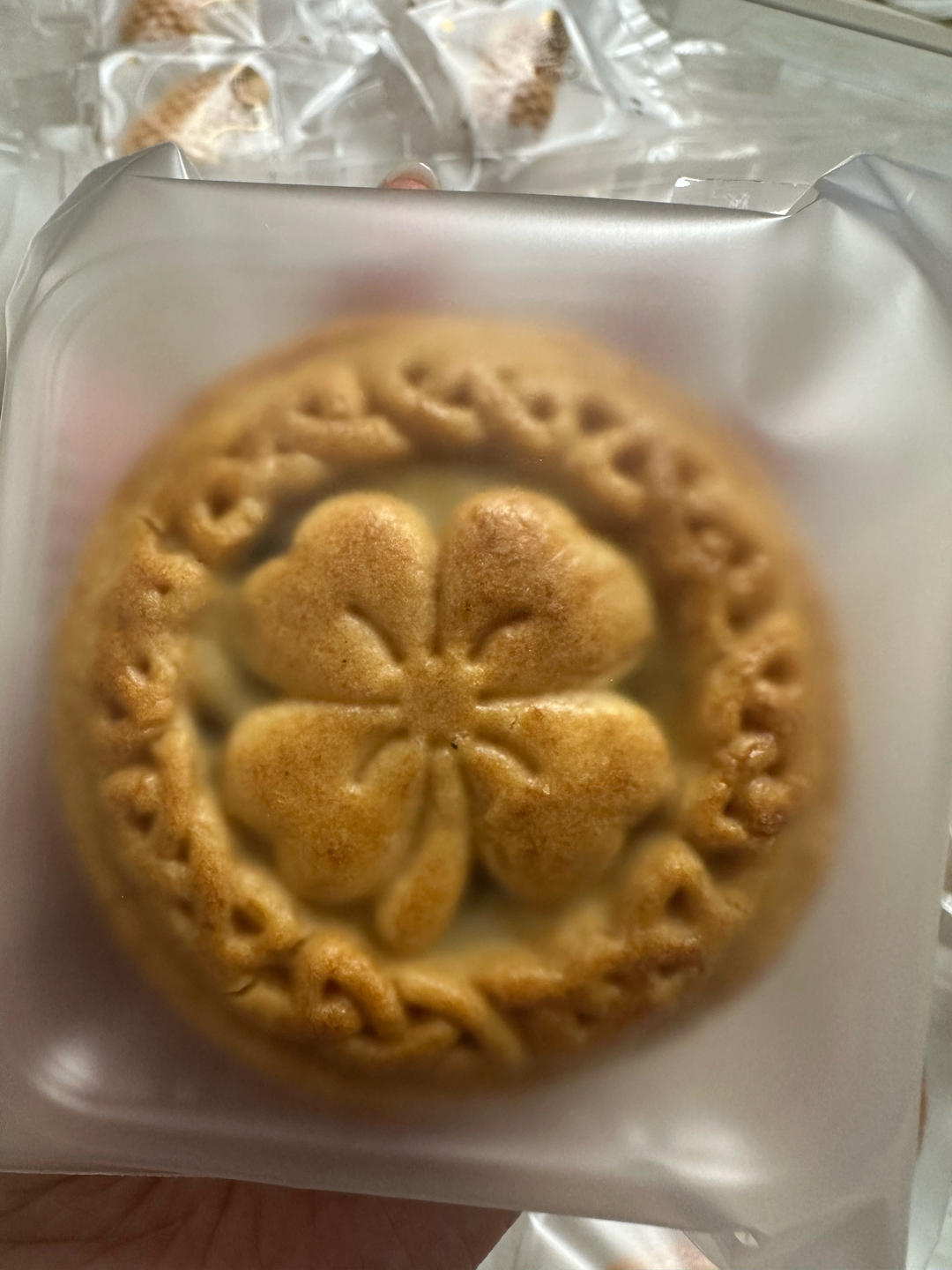 零难度、新手友好，老味道蛋月烧月饼