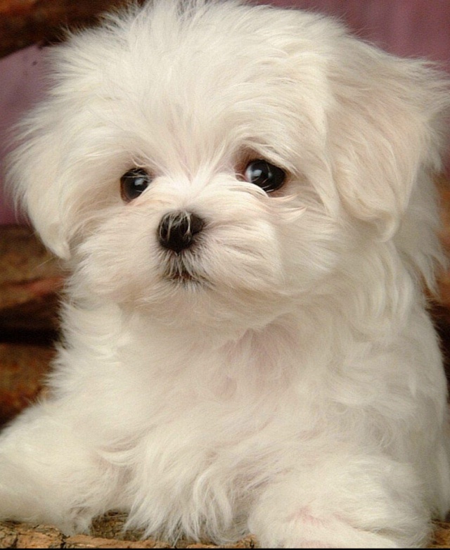 降落在晴朗終點0817