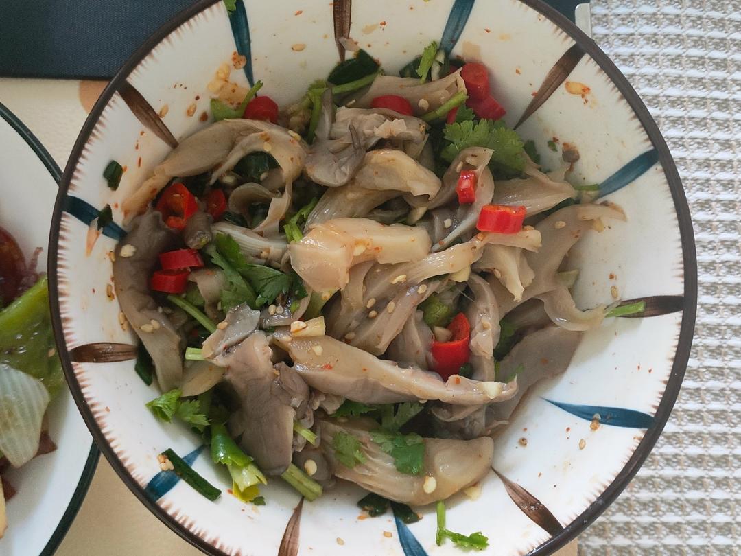 拌一盘光一盘‼️好吃到无法停下来的节奏😋😋凉拌平菇