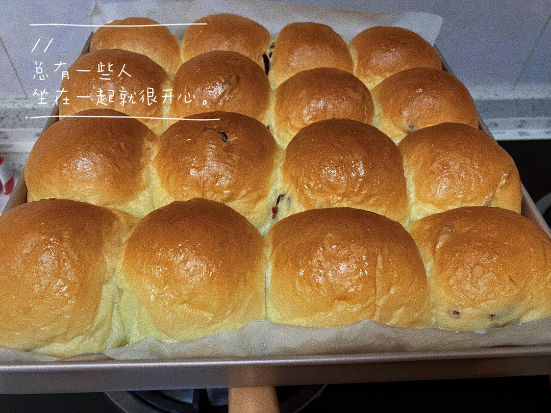 一次发酵，超软蔓越莓餐包😍 简直太美味