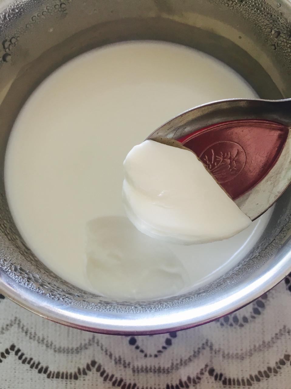 自制酸奶