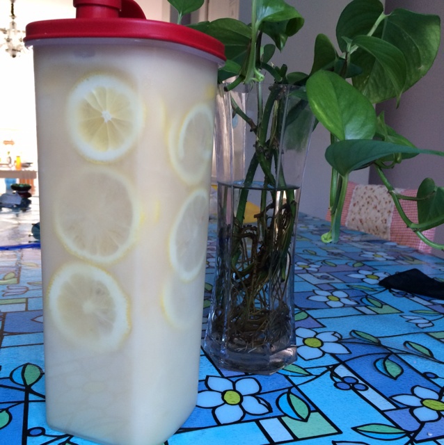 清肠柠檬蜜（晚上喝o(╯□╰)o）