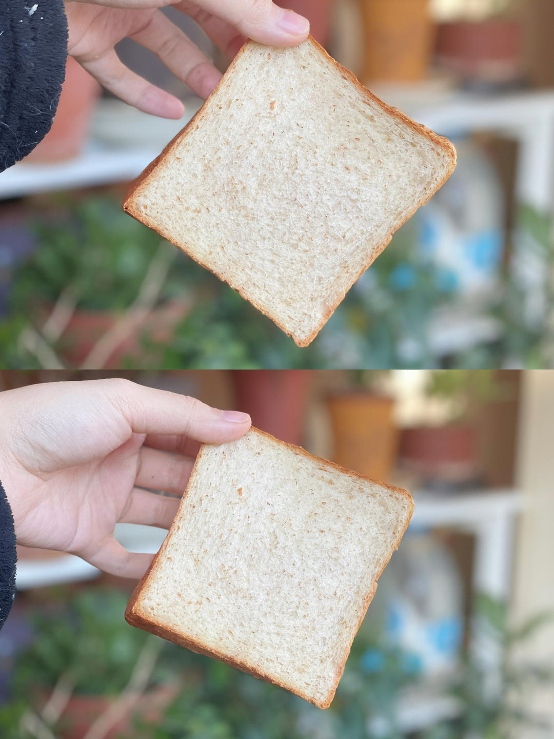 柔软的蜂蜜牛乳全麦吐司