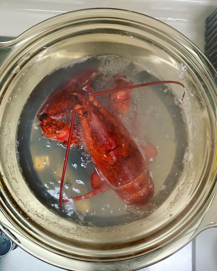 老广东酒楼的龙虾伊面