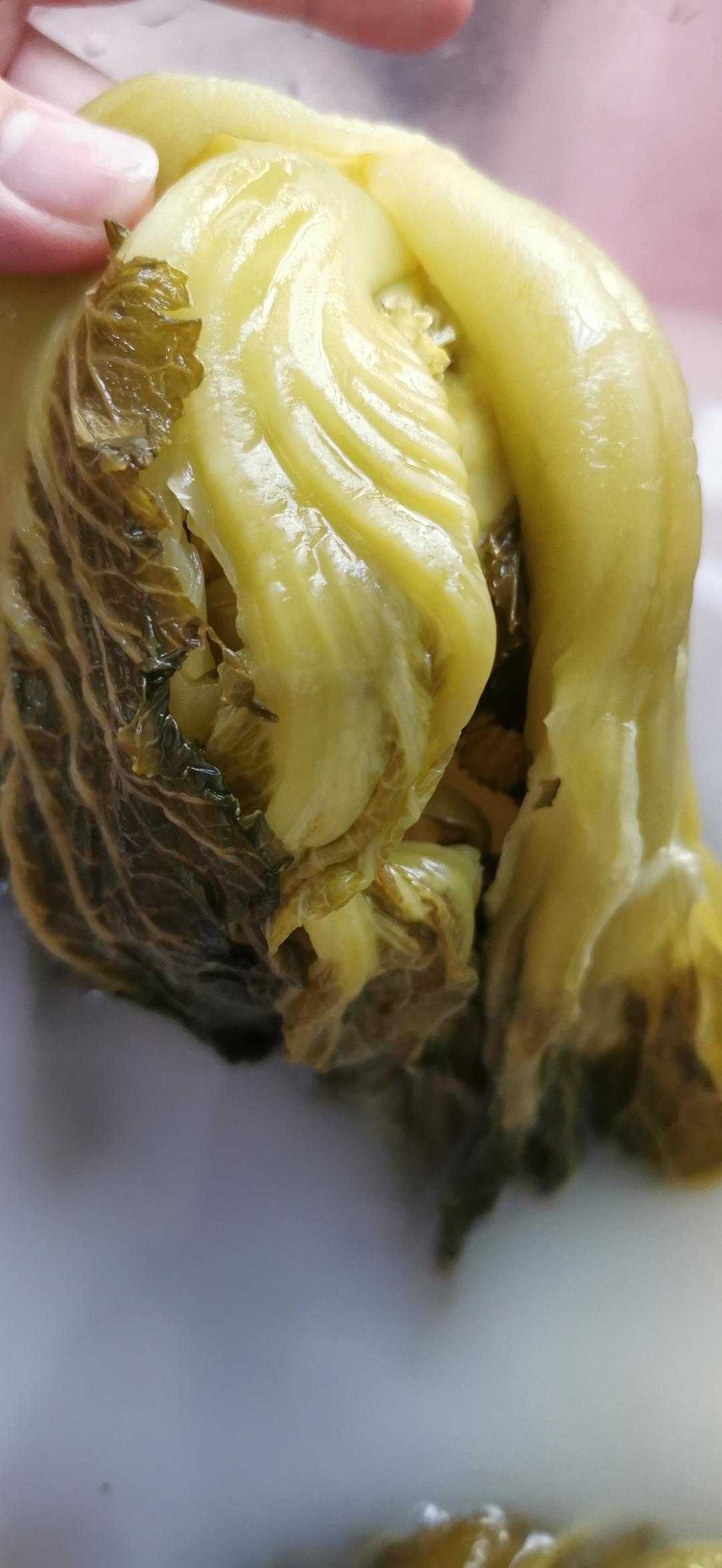 老祖宗的腌制酸菜方法（酸菜做法）