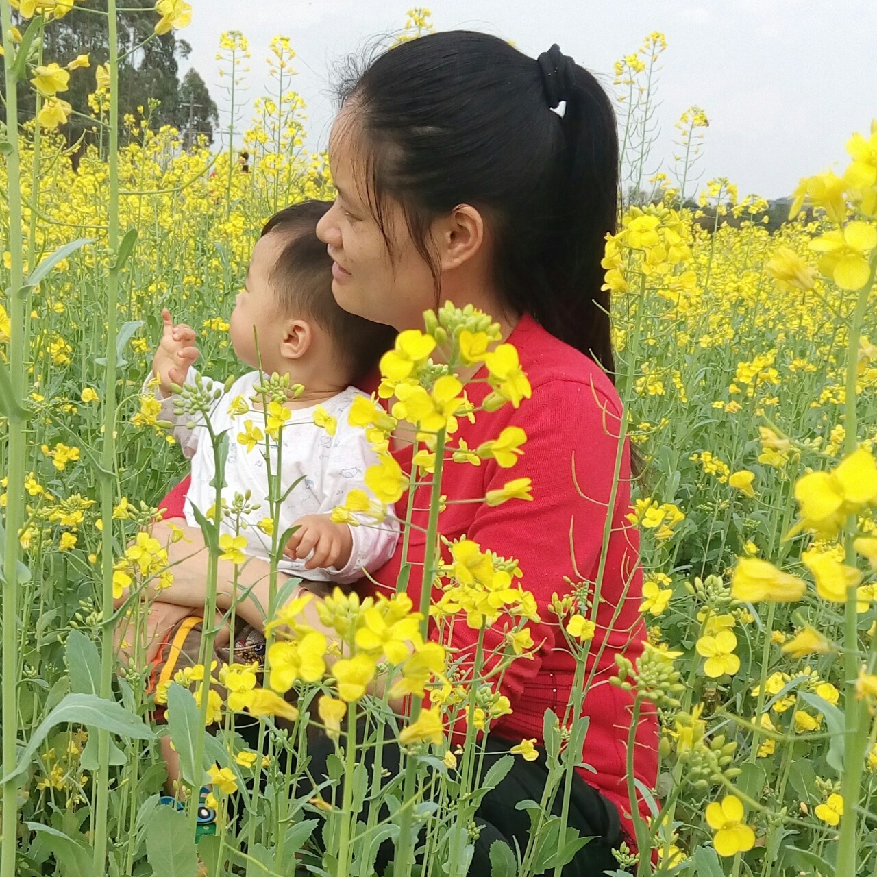 手机用户7778_cah4