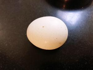 儿童食谱➠鸡蛋瑶柱蒸肉饼的做法 步骤2
