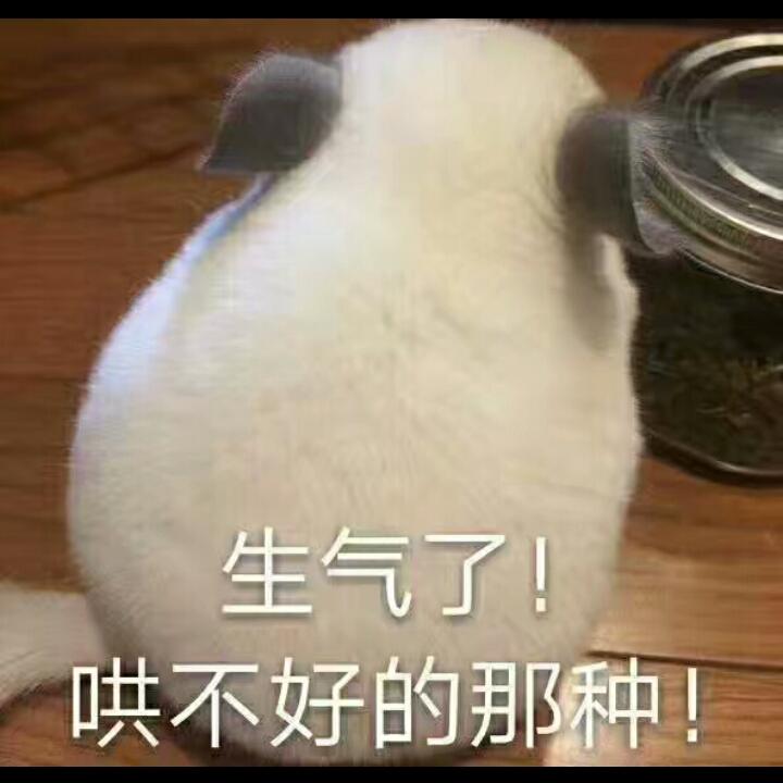 冬东东东的厨房