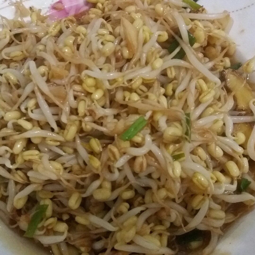 素炒豆芽