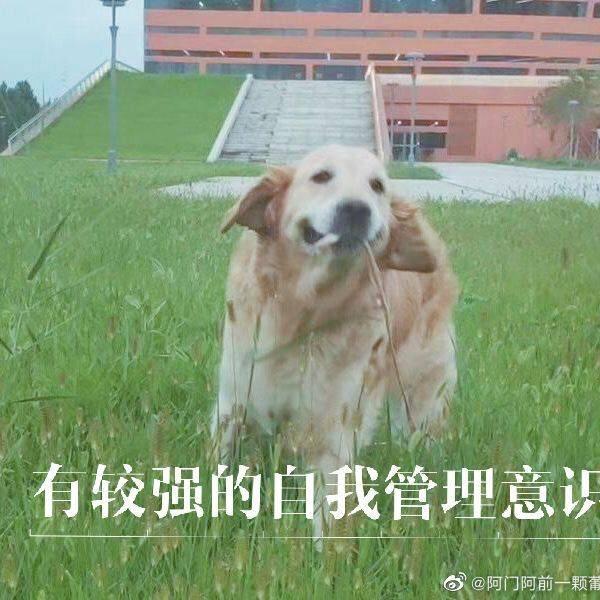 黄焖鸡忠实爱好者