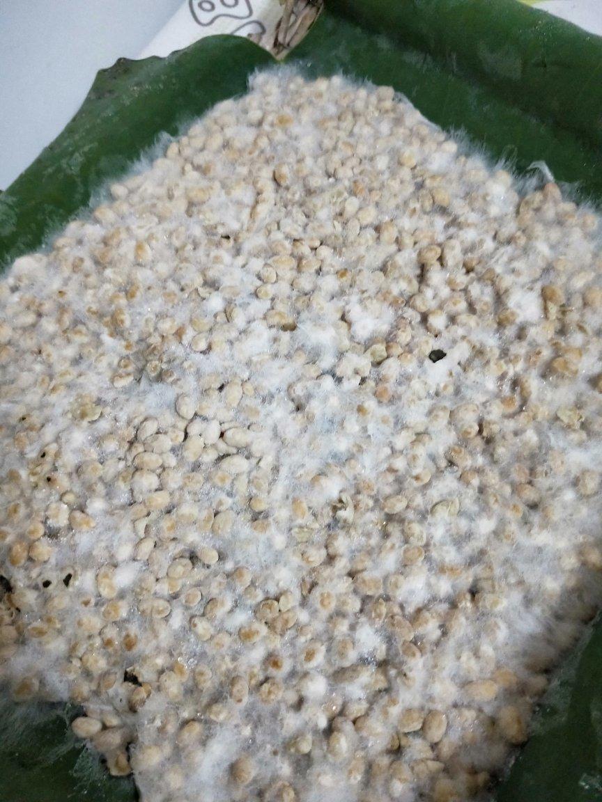 霉豆（豆瓣酱、焖酱）