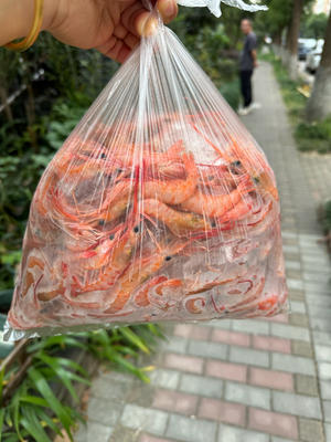 生腌红虾🦐的做法 步骤1