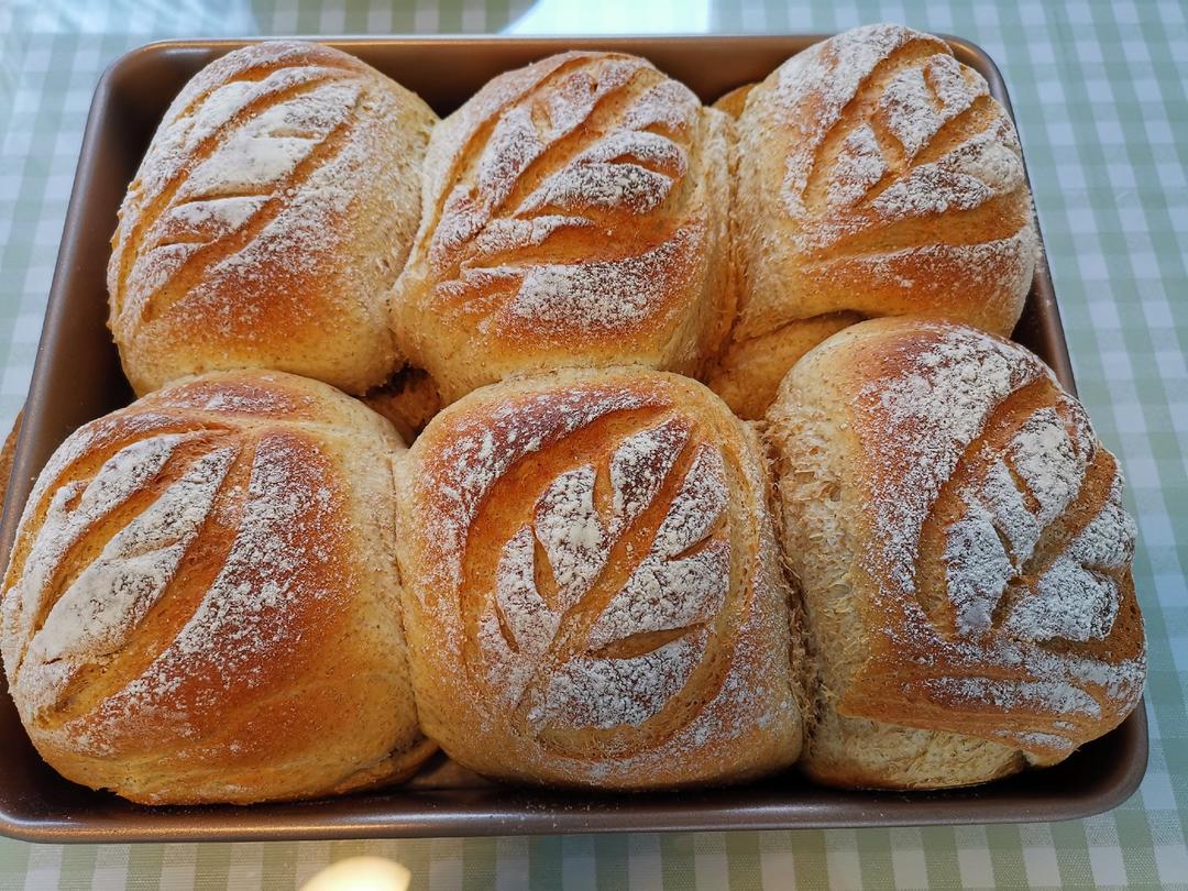 我的欧包割包视频